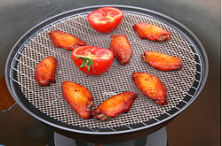 燒烤鋼板網(wǎng)